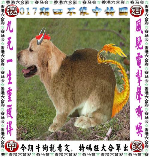2025年4月 第5页