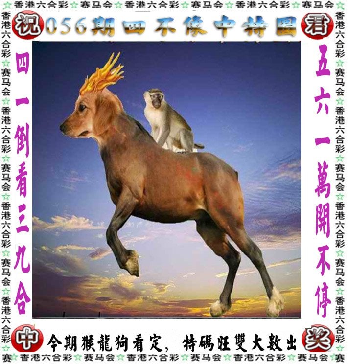 澳彩全年资料大全	