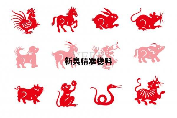 新奥精准稳料